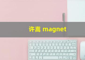 许嵩 magnet